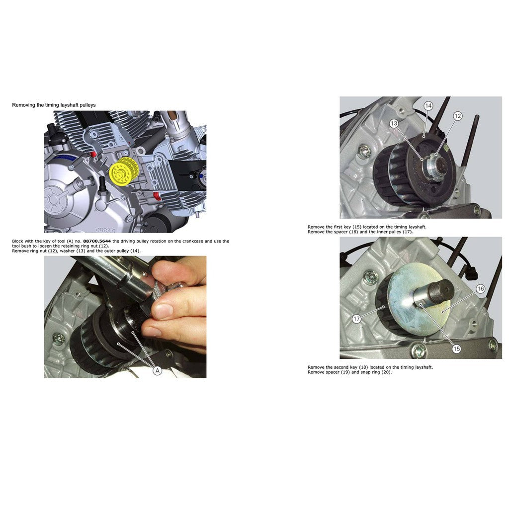 Ducati SCRAMBLER 800 2015-2018 Full Manual Set – Service Repair Workshop Manual and Spare Parts Catalog and User Handbook - page 7