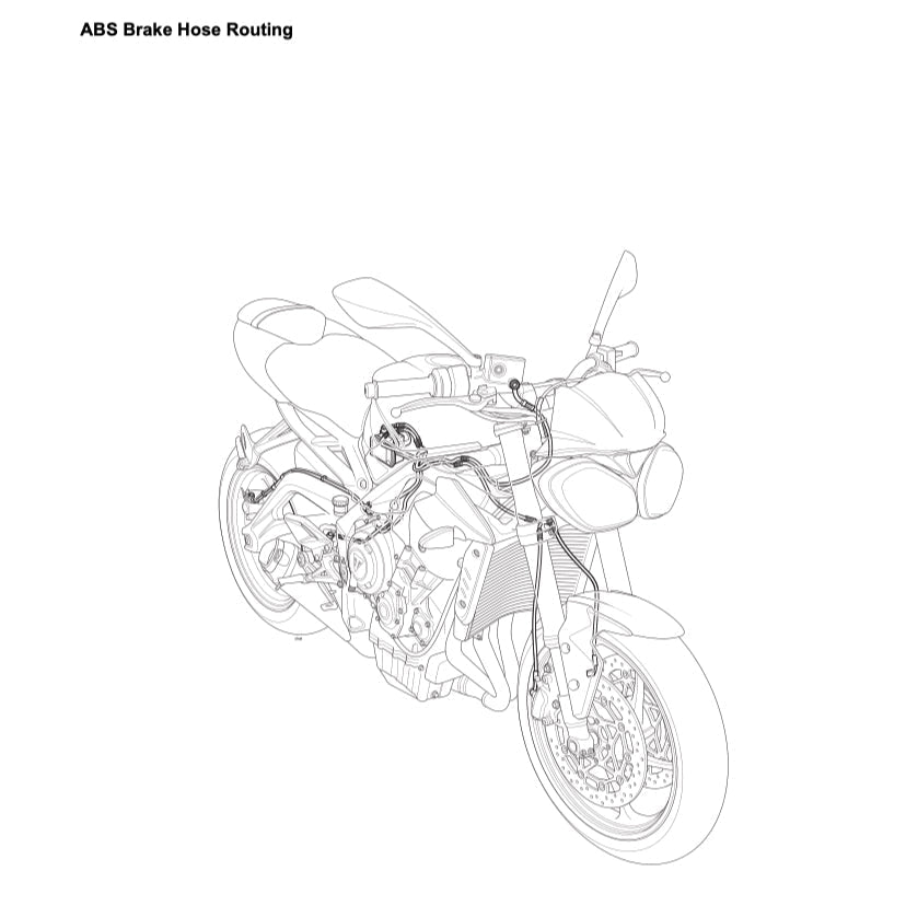 Triumph STREET TRIPLE 765 RS 2018-2022 Full Manual Set – Repair & Maintenance Manual and User Handbook - page 2